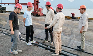 85565655