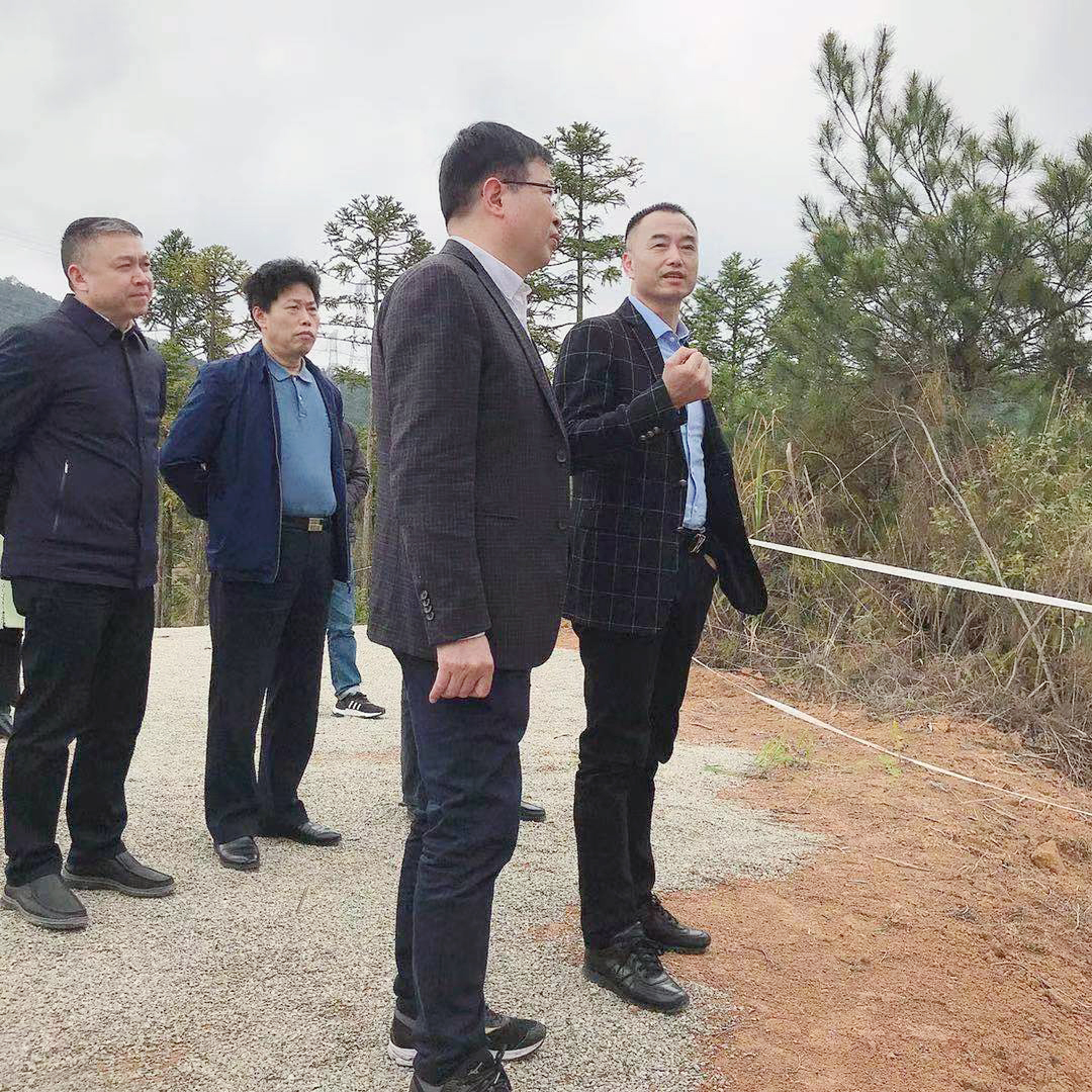 哈希游戏(中国游)官方网站