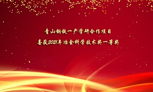 suo-21