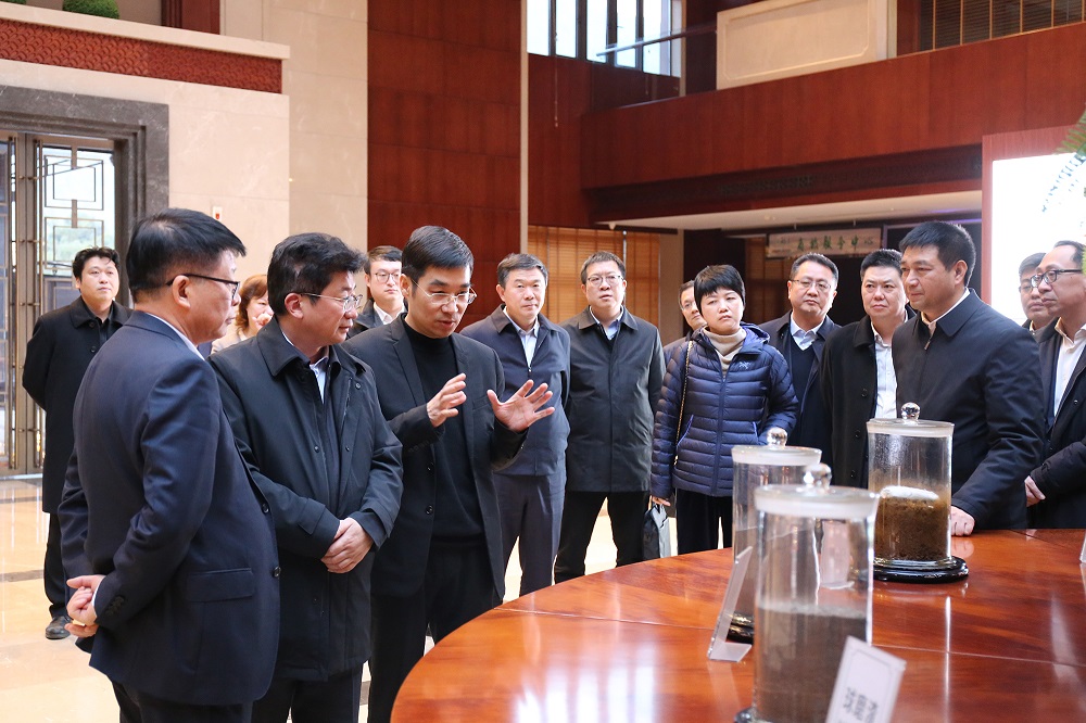 哈希游戏(中国游)官方网站