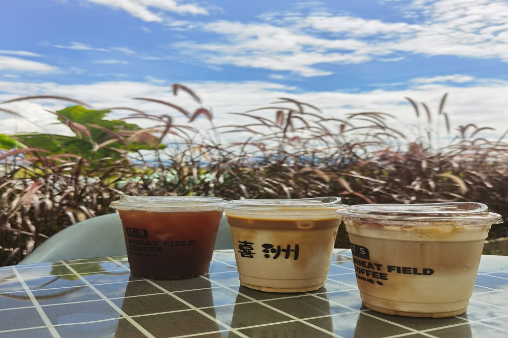 哈希游戏(中国游)官方网站