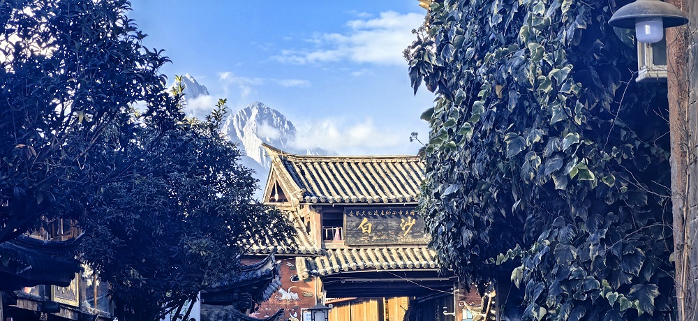 哈希游戏(中国游)官方网站