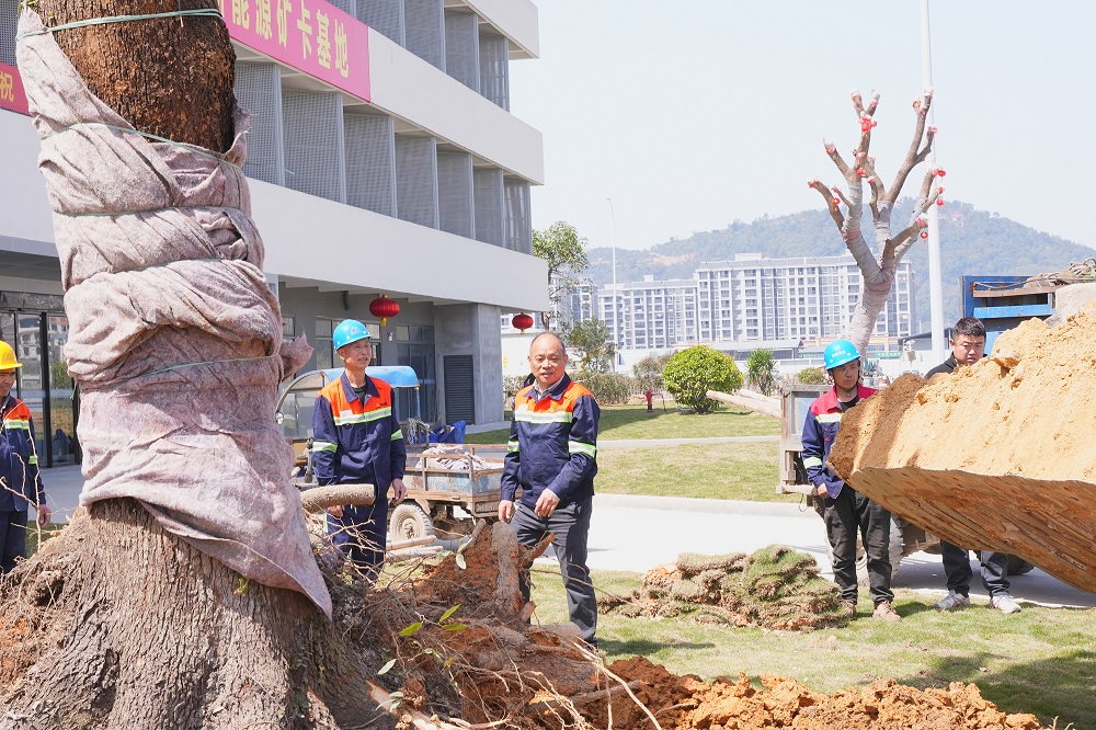 哈希游戏(中国游)官方网站