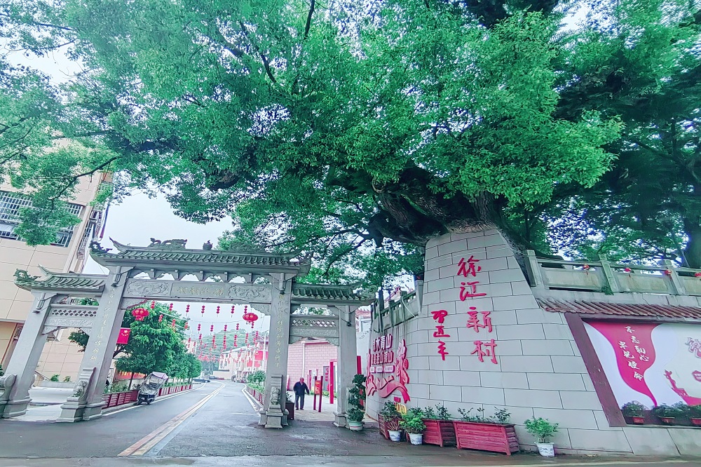 哈希游戏(中国游)官方网站