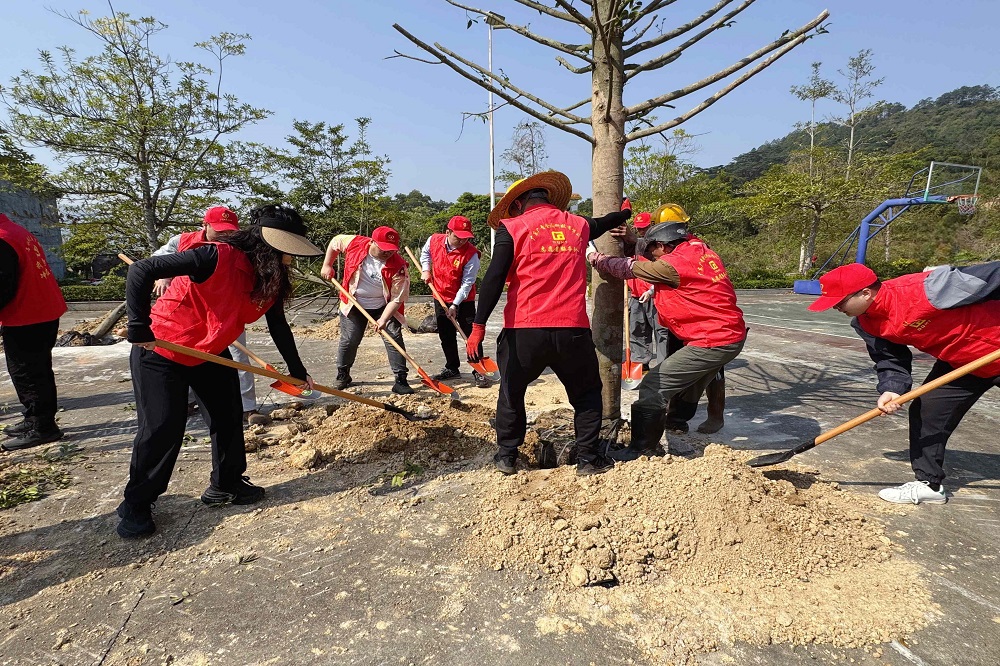 哈希游戏(中国游)官方网站